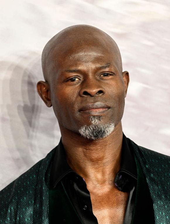 Djimon Hounsou