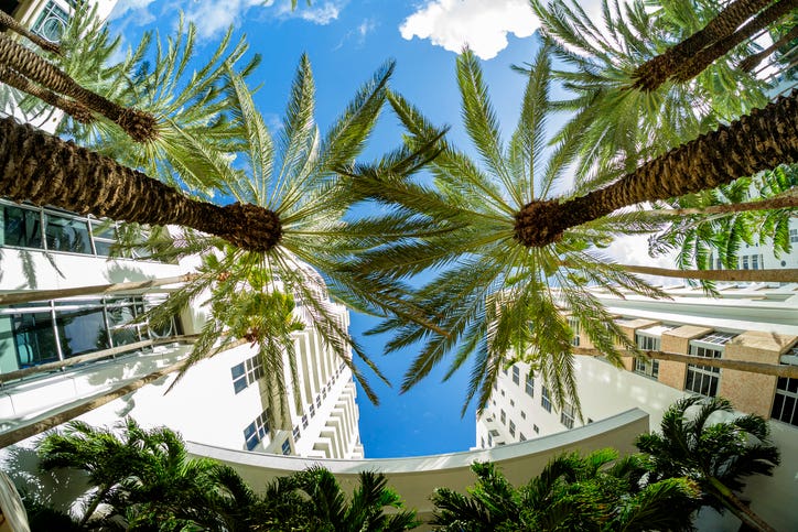 Beautiful Florida Hotel fish eye cityscape with art deco architecture and majestic palm trees.