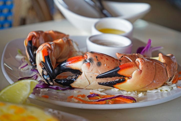 Florida Stone crab claws served with butter and dip at the resaturant in Miami, USA