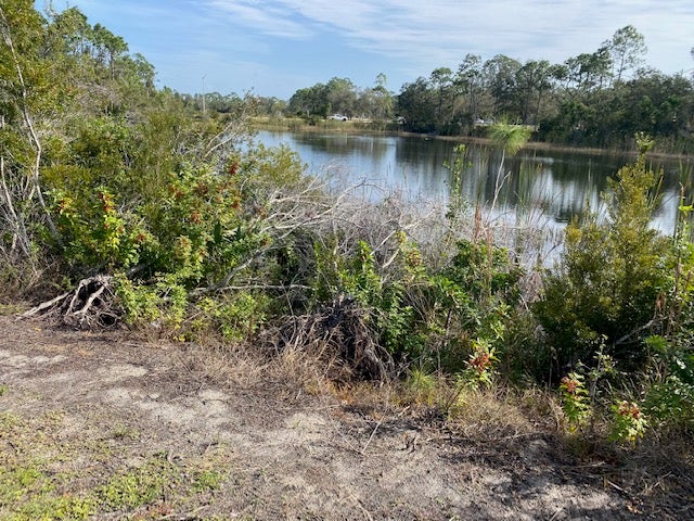 10-Foot Alligator Reported in Cape Coral Community Has Neighbors Concerned