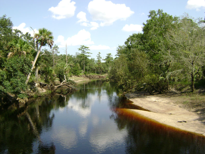 Econlockhatchee-River-from-Flagler-Trail-Bridge