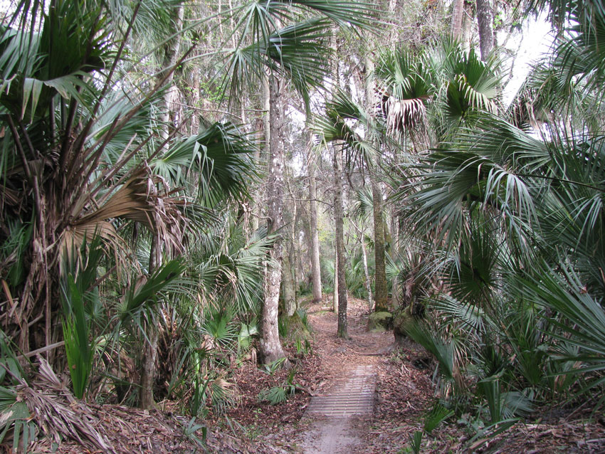 Bike-Trail